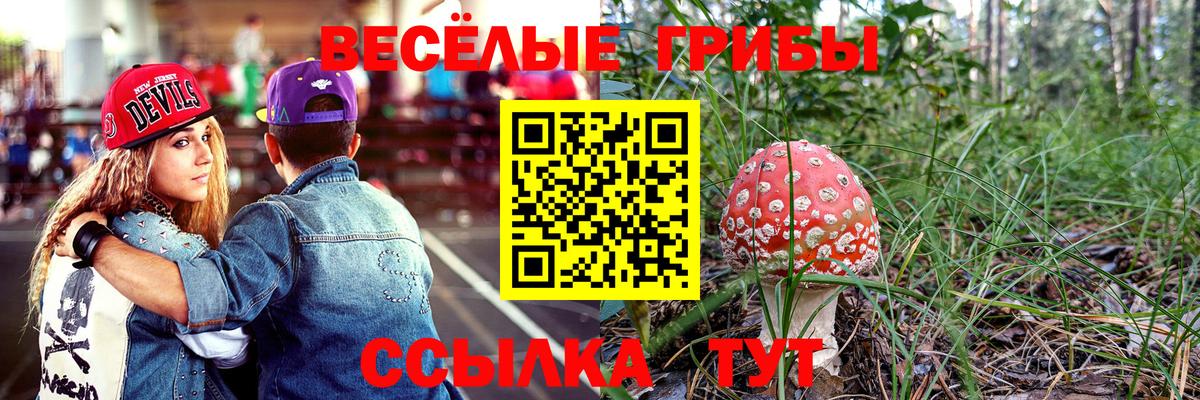 Большой Камень  Псилоцибиновые грибы прущие грибы  где можно купить наркотик  Вход с VPN 